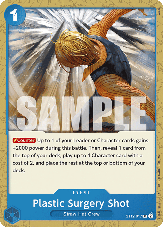 Plastic Surgery Shot ST12-017